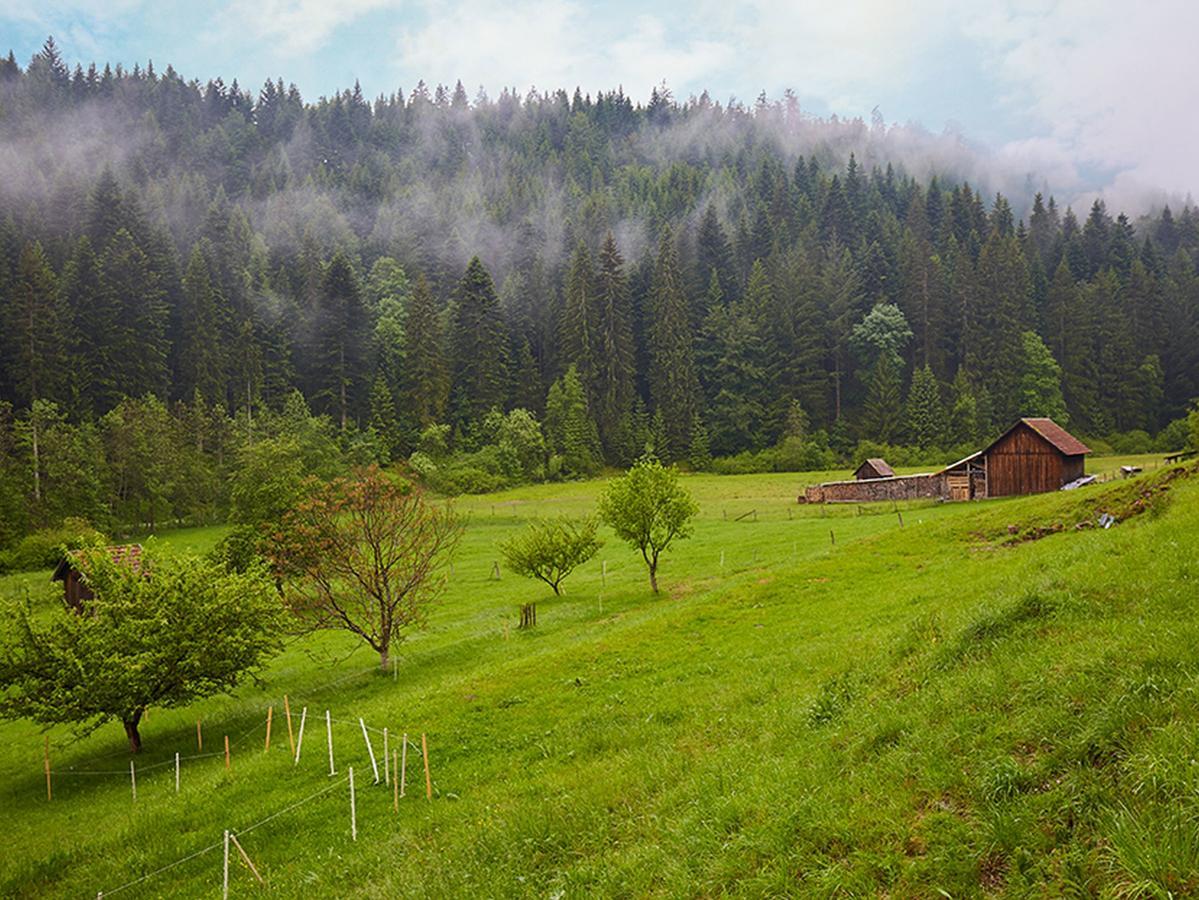 Апартаменты Haus Am Kaltenbach Энцклёстерле Экстерьер фото